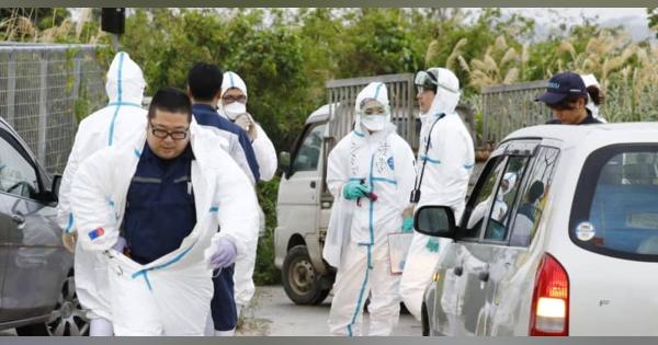 沖縄で33年ぶり豚コレラ　1800頭超、殺処分開始