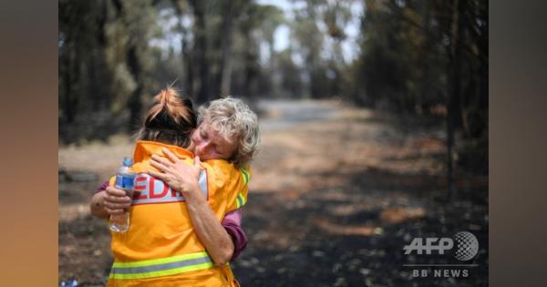 豪農家、森林火災で弱り目にたたり目 農地・家畜の被害甚大