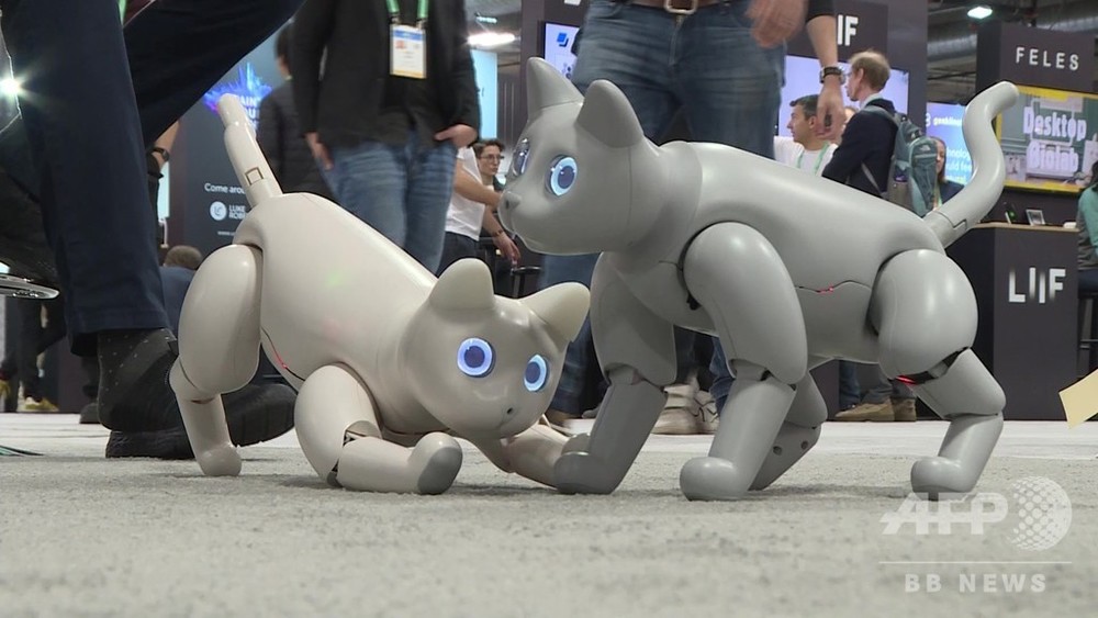 動画：ぎこちない動きがかわいい？ 中国企業開発のネコ型ロボット 米家電見本市