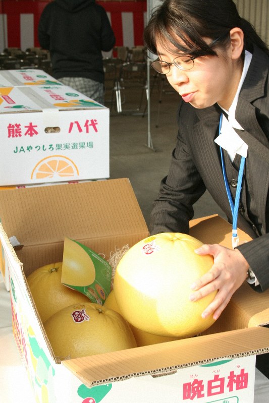 デモでも売れる？　世界最大級の柑橘類「晩白柚」　熊本・八代から香港へ出発