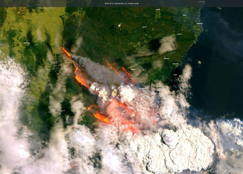 気候変動と森林火災の因果関係「疑いようない」=英研究者