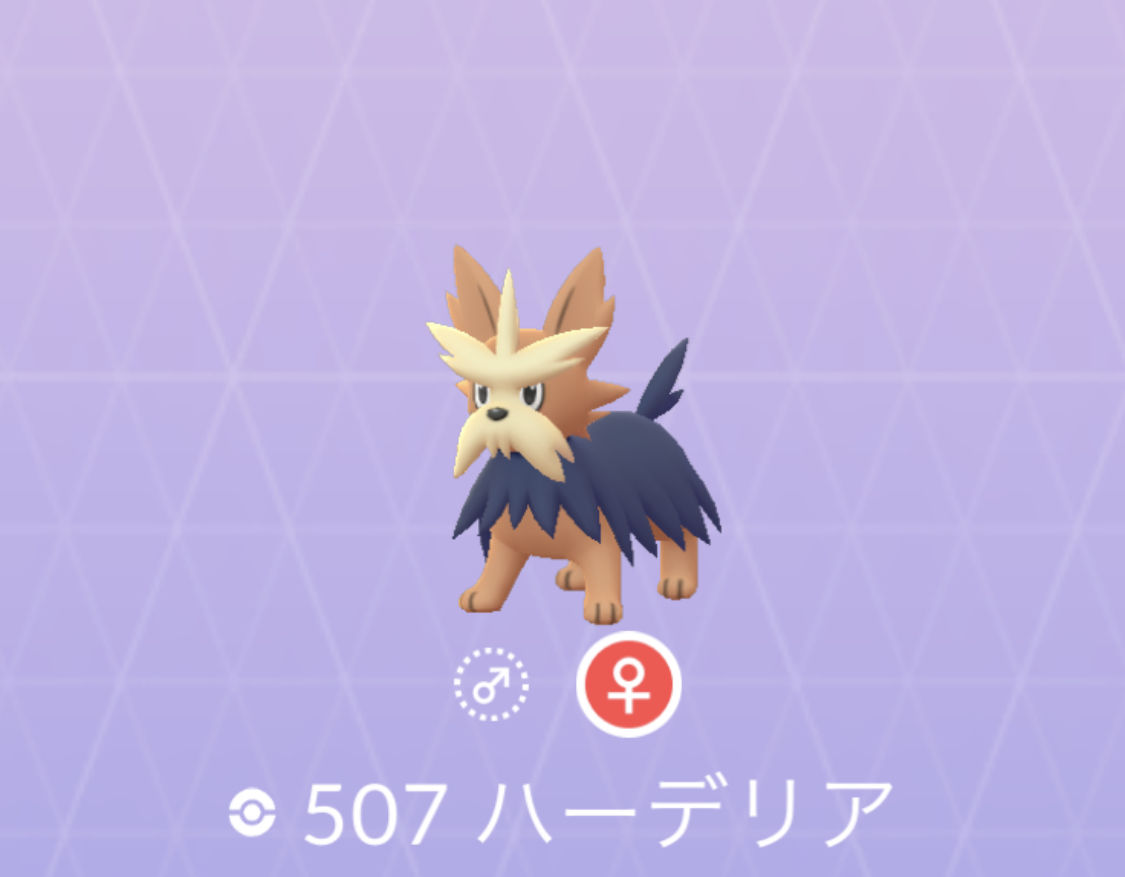 ポケモンgo No 507 ハーデリア入手方法 色違いと弱点 対策 大人のポケモン再入門ガイド