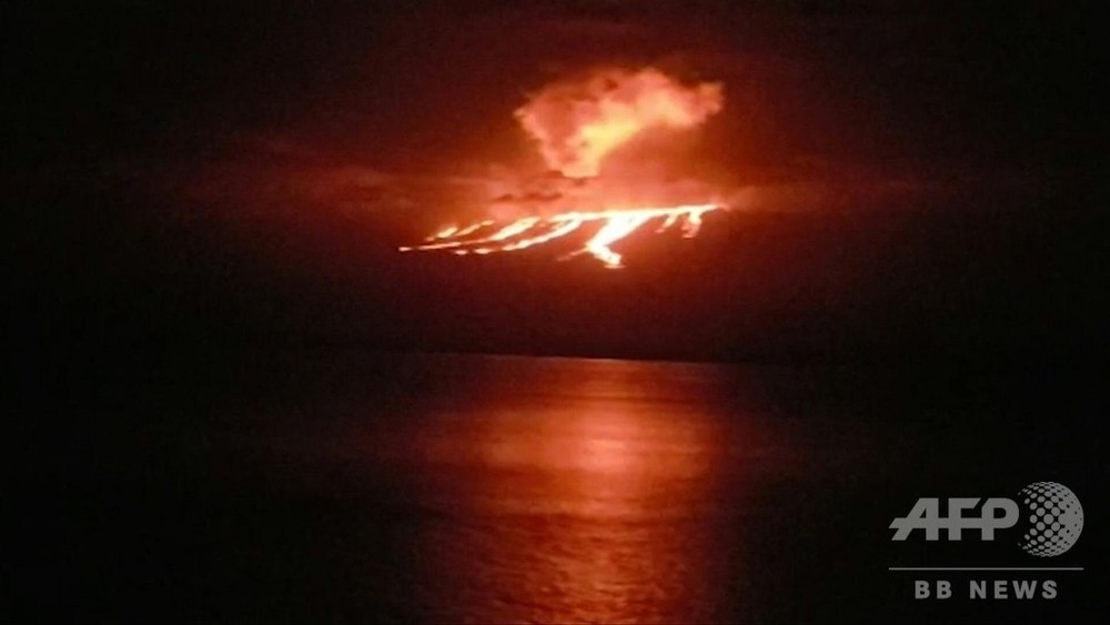 動画：ガラパゴス諸島で火山噴火、生態学上の重要地域に溶岩流出