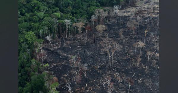 アマゾン森林破壊、19年は前年比85％拡大＝政府統計