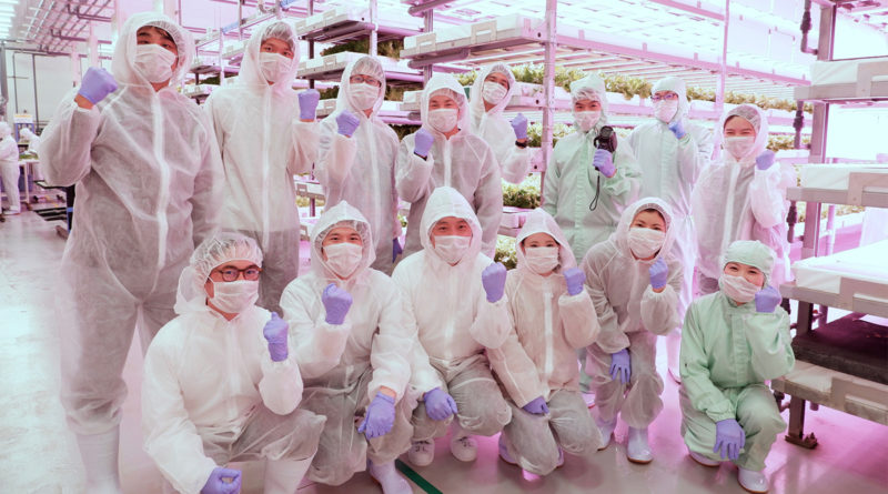ファームシップが運営する世界最大規模の完全人工光型植物工場「富士山グリーンファーム」を見学しました！【ICCビジネス・スタディツアー vol.5】
