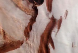 氷と砂塵のコントラスト。ESAの探査機が撮影した火星の北極域