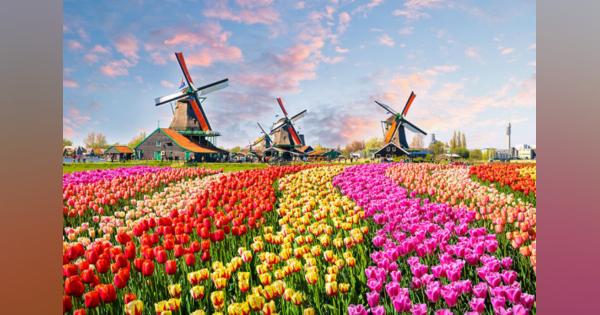 オランダの気候変動訴訟、世界の環境活動の手本に