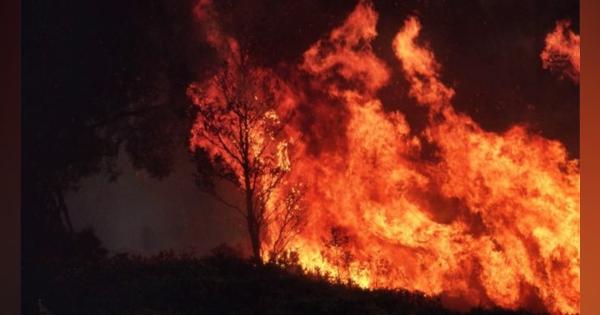 豪森林火災、温暖化で将来は「当たり前」に＝英研究チーム - BBCニュース