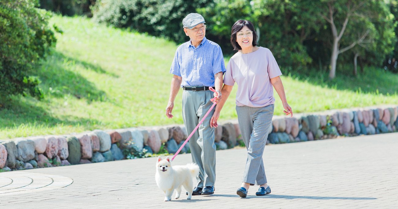 犬を飼ったことがある人は「要介護予備軍」になりにくい可能性 - ヘルスデーニュース