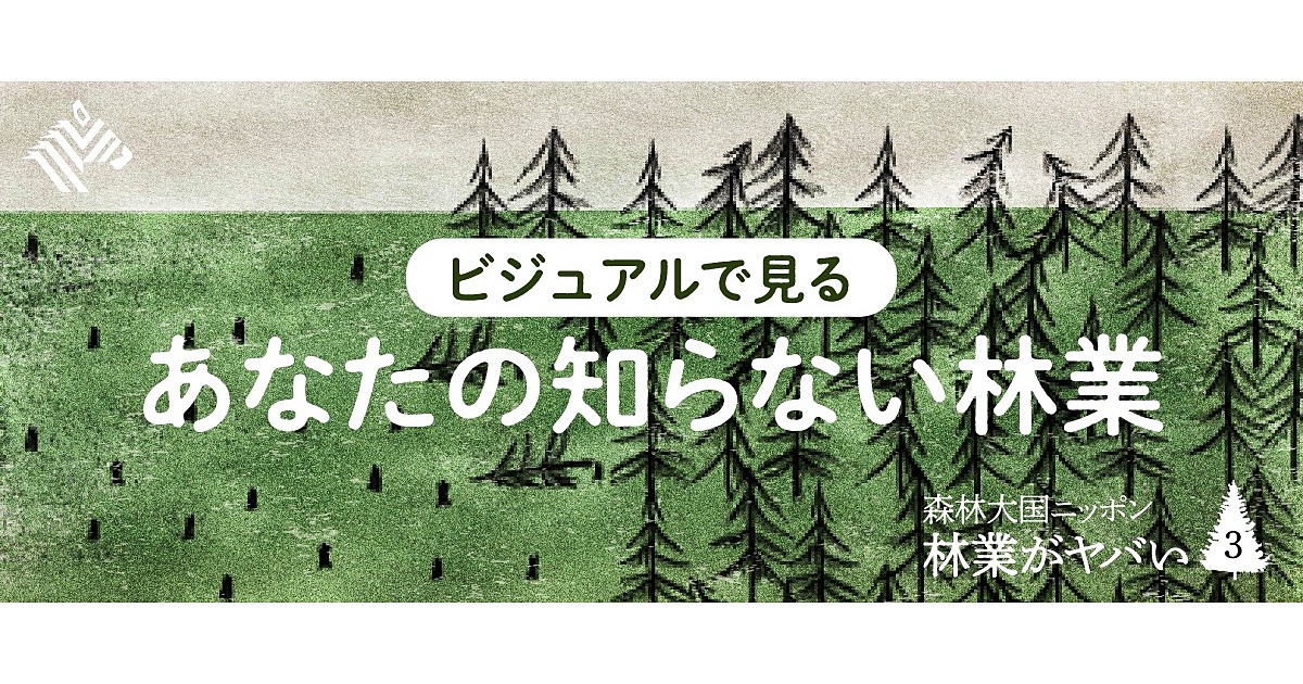 【学び】日本人なら知っておきたい、木材の歴史・森林のすべて