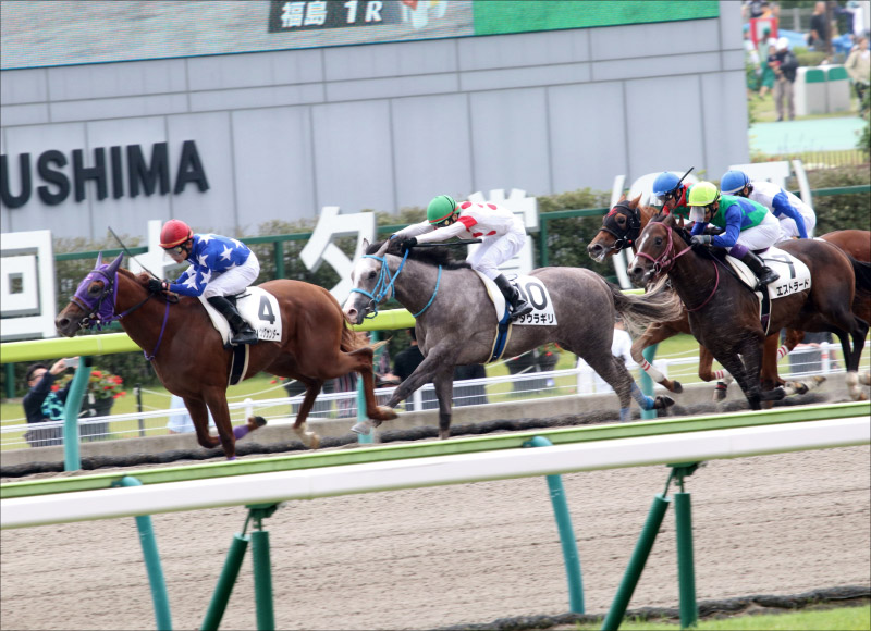 JRAヴェンジェンス「インティ再撃破」へ京都開催なら！「2020異例」の東海S（G2）幸騎手も馬にも有力データ！