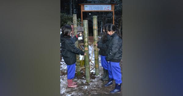 氷柱なくとも「地域の光は消さない」　埼玉の高校生、竹あかり300本設置