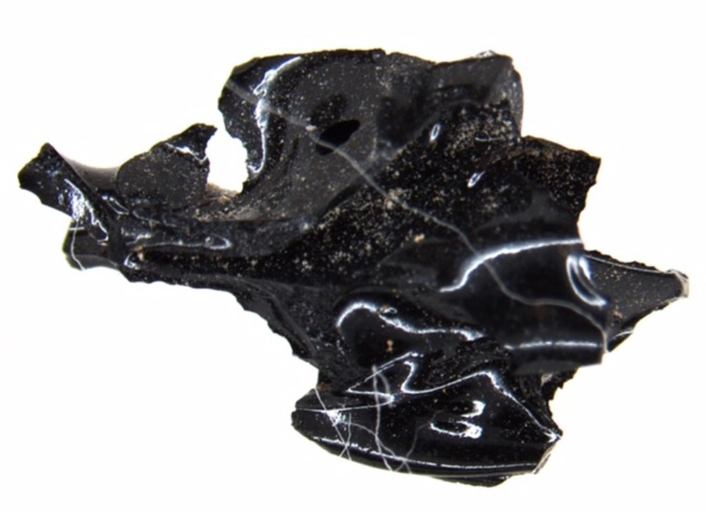 ベズビオ山噴火の犠牲者から黒い「石」、正体は破裂した脳 研究