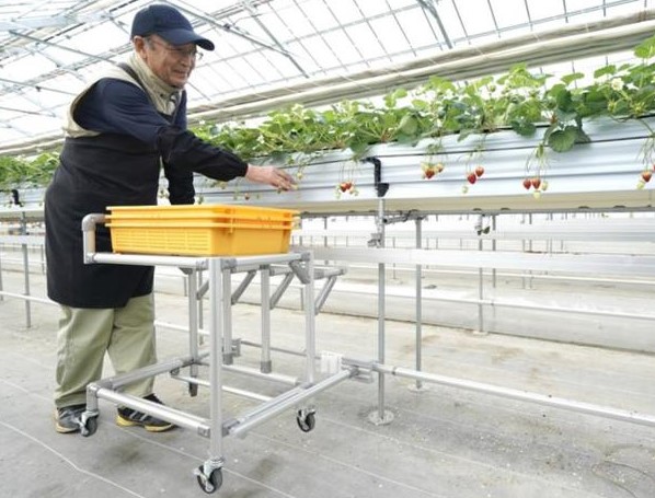 日産×イチゴ農家　車づくりのノウハウ提供で“カイゼン”支援