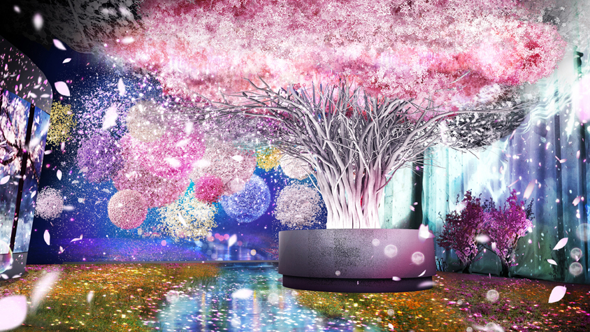 「NAKED」が手掛ける、日本橋で「冬に咲く桜」