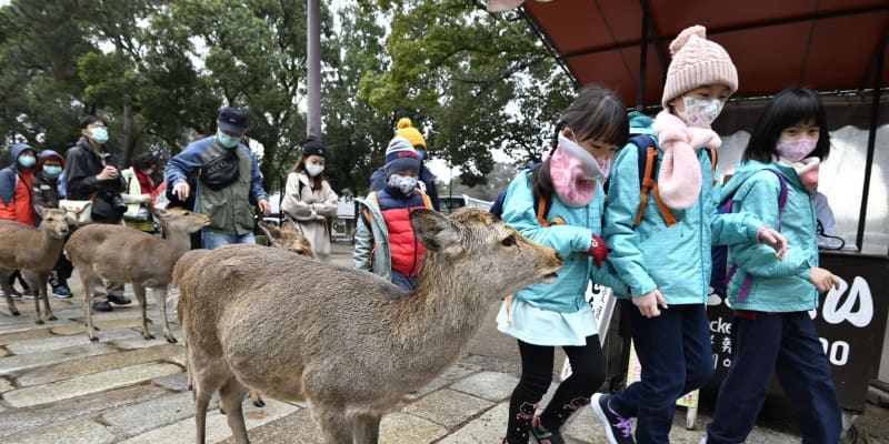 中国バスツアー、成田や関空利用　奈良公園に1時間立ち寄り