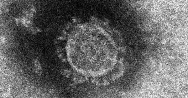 新型コロナウイルスの分離に成功　国内では初　国立感染症研究所