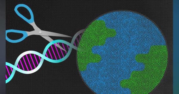 遺伝子編集ツール開発のMammoth Biosciencesが約49億円調達