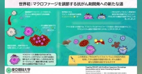 アルコール依存症治療薬ががんの抑制に効果　東京理科大などの研究