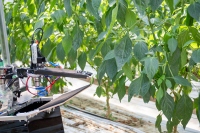 アグリスト、AI活用の農産物自動収穫ロボットを開発　1月から運用を開始