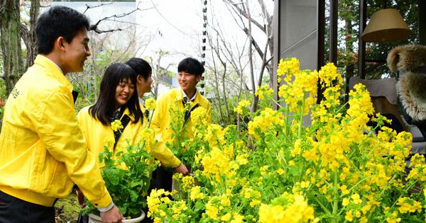 司馬遼太郎さんが愛した花でいっぱい　「菜の花忌」前に　東大阪の記念館周辺