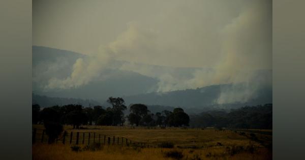 豪南東部に待望の豪雨、ＮＳＷ州の森林火災の3分の1が鎮火