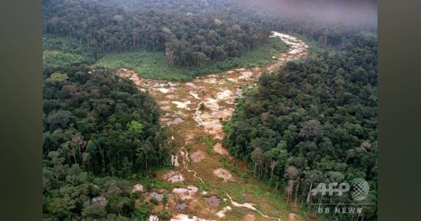 20年1月のアマゾン森林破壊、前年同月比2倍に拡大 ブラジル