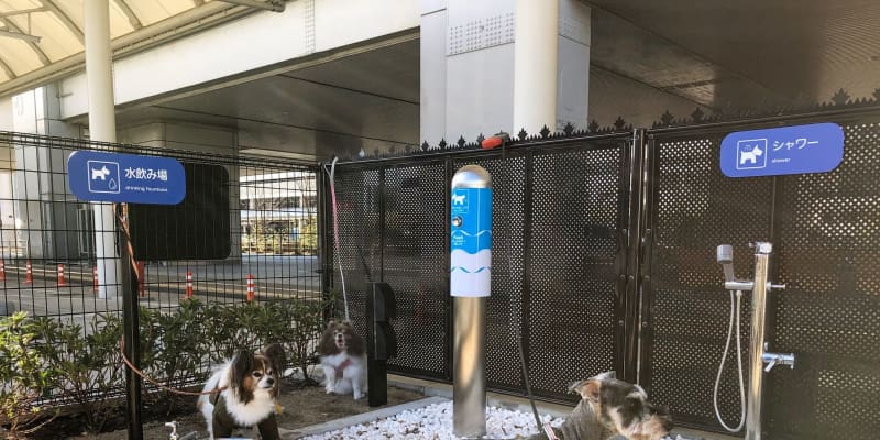 大阪空港に犬専用トイレ　国内初、13日から