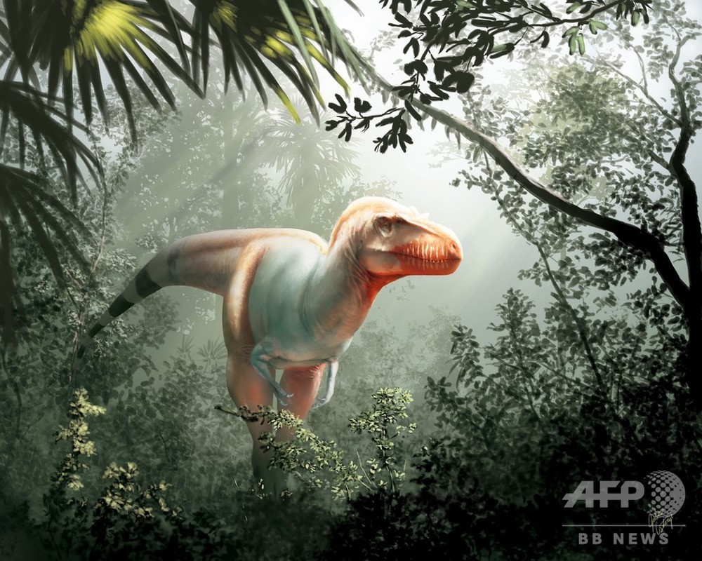T・レックスの近縁恐竜「死に神」 カナダで化石発見