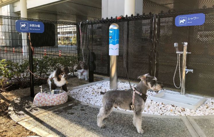 伊丹空港に愛犬専用トイレ