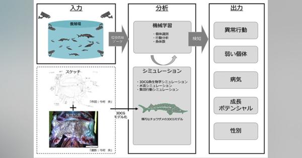 養殖チョウザメの全滅防げ　AIが異常検知、北大とソフトバンクが実験