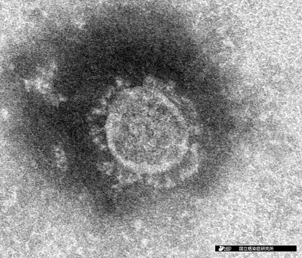 新型コロナウイルス、千葉の70代女性感染