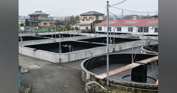 神奈川・厚木のアユ養殖施設が再生　生産８トン可能…安定供給に期待