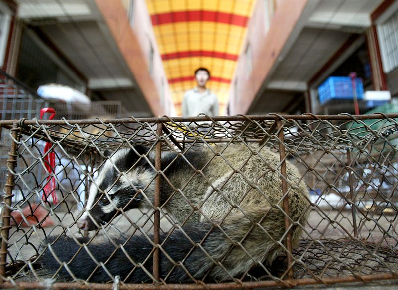 焦点：感染源は野生動物か、それでも衰えぬ中国の「食欲」