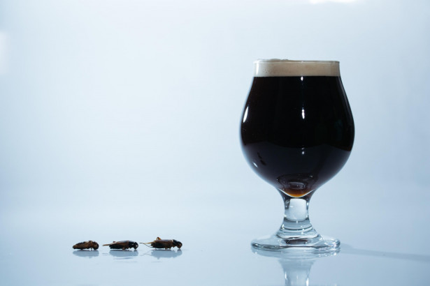 世界初、コオロギを原料にしたクラフトビールを販売。昆虫食のANTCICADAと遠野醸造が共同開発