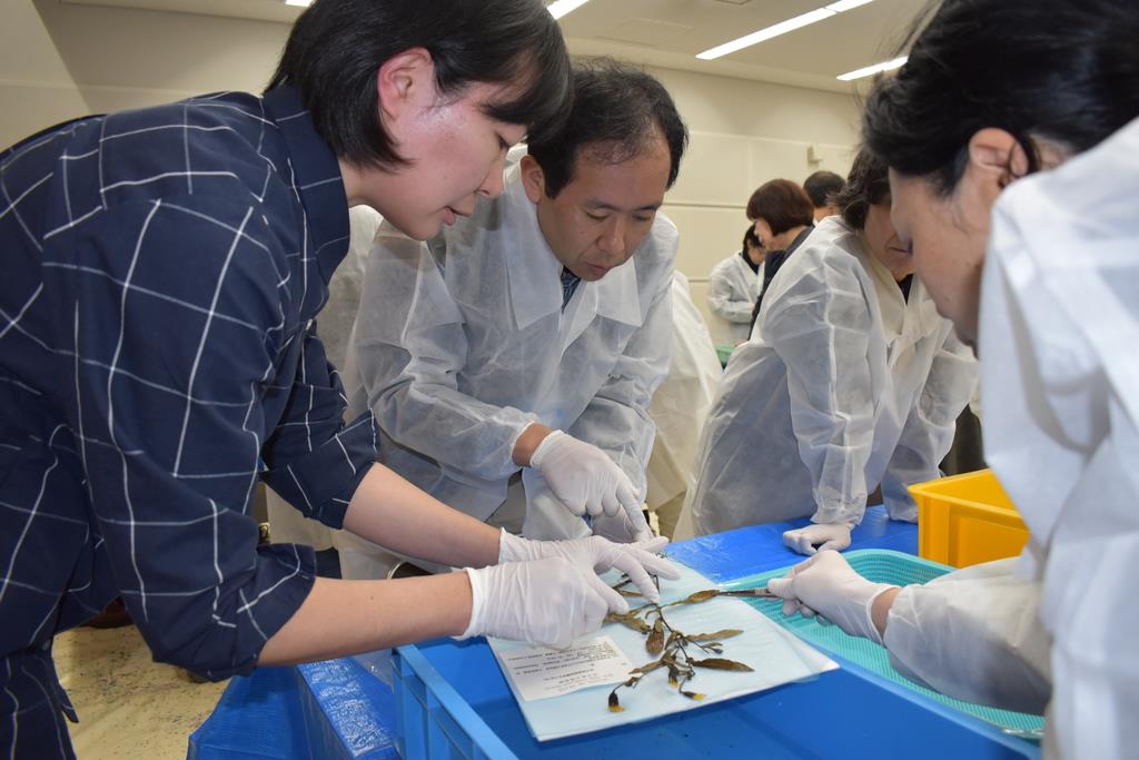 東日本大震災教訓に「植物標本」保護の動き、全国に拡大