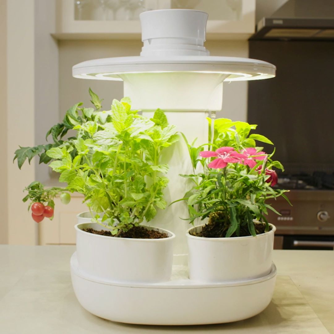 早く大きく植物が成長！屋内スマートガーデン装置「UrbiPod Smart Garden」