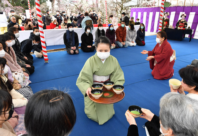 菅原道真をまつる京都・北野天満宮で梅花祭　野だては参加者を制限