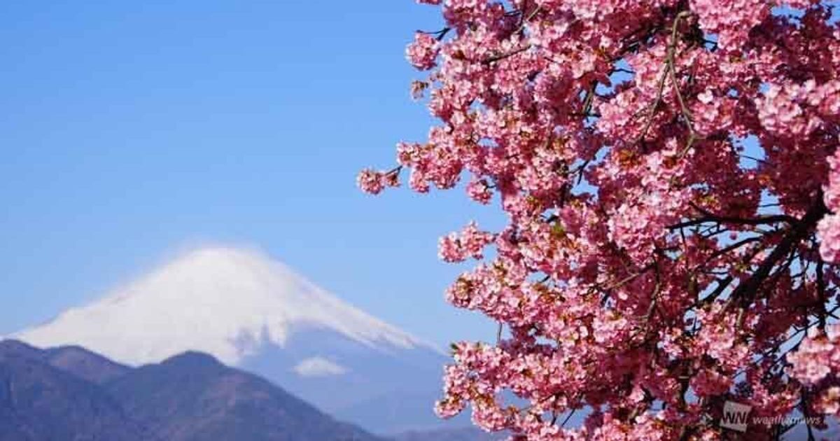 2月23日は「富士山の日」。2020年は河津桜と富士山の美しいコラボも