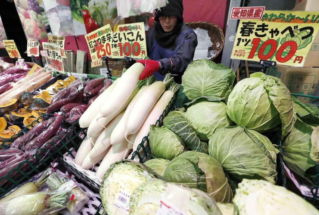 キャベツ、平年の半額…野菜小売価格、安値基調続く