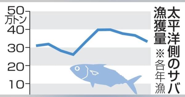 太平洋のサバ漁獲枠を31％減に　20年、資源安定へ管理強化