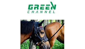 競馬専門の「グリーンチャンネル」、2月29日と3月1日は無料で放送