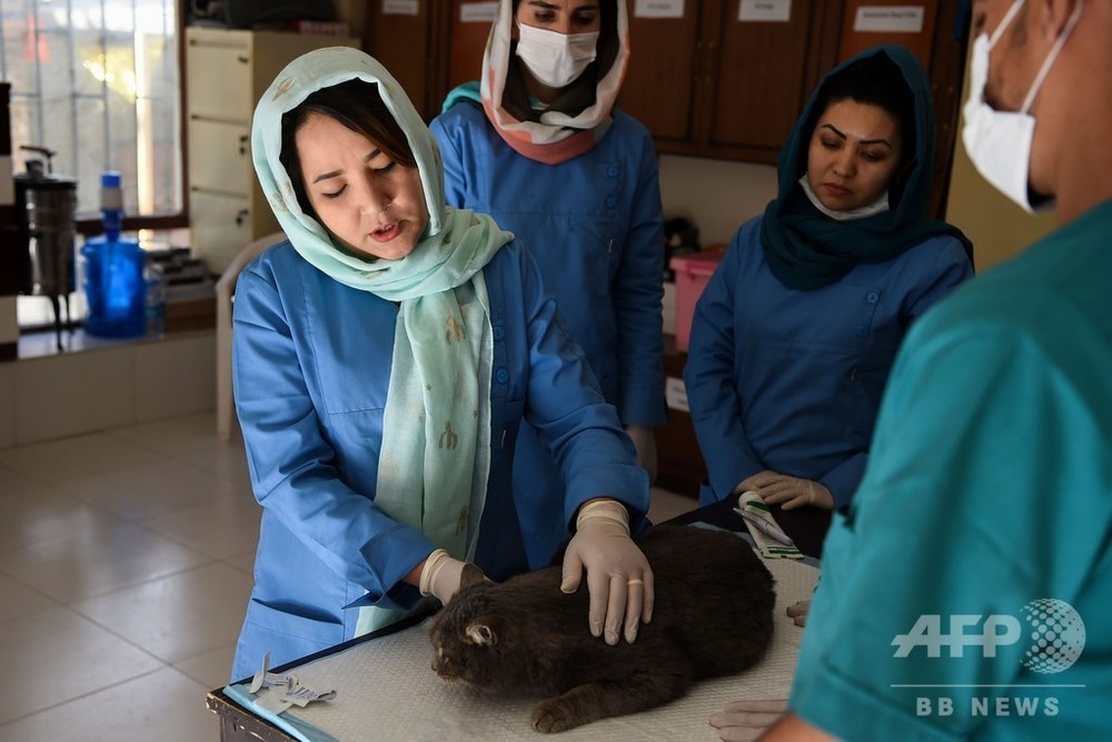 タリバンは変わったか？ 復権を恐れるアフガン女性たち