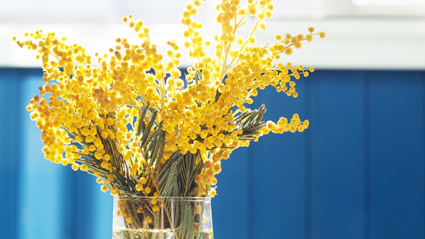 幸せの「黄色い花」を贈ろう！3月8日は「国際女性デー」