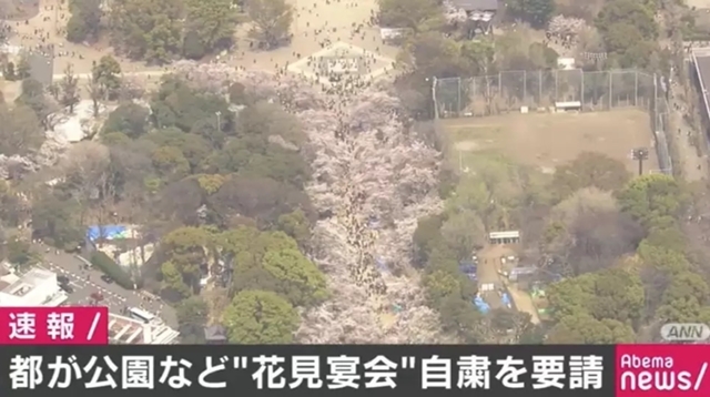 東京都が花見シーズンの宴会自粛を要請 上野・代々木・井の頭公園など対象 - AbemaTIMES
