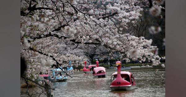 東京都、82公園での花見宴会の自粛要請　人出全国一の上野など
