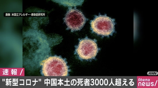中国本土の死者が3000人超える 新型コロナウイルス - AbemaTIMES