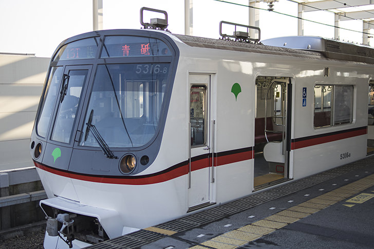 なぜ東京には東京メトロと都営地下鉄、二元体制なのか？＜東京地下鉄100年史＞