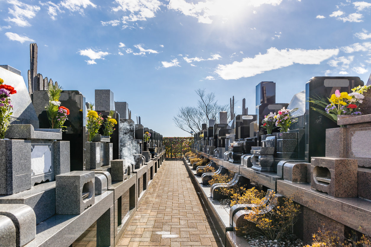 「樹木葬」と「ペットと一緒に入れるお墓」の人気が上昇中　お墓の平均購入金額とは？