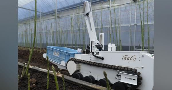 ここまで進化した自動野菜収穫ロボット